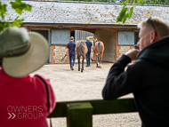 KS300622-2 - Kirtlington Stud Visit